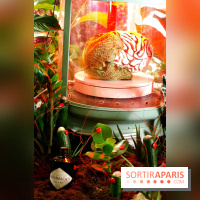 Chambers of the Curious, édition 2017, à l'Hôtel Particulier Montmartre