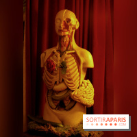 Chambers of the Curious, édition 2017, à l'Hôtel Particulier Montmartre