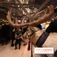 Le Marché de Noël du Péninsula