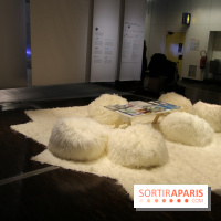 Froid à la Cité des Sciences