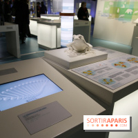 Froid à la Cité des Sciences