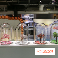 Froid à la Cité des Sciences