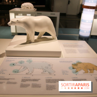 Froid à la Cité des Sciences