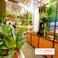 Ground Control ouvre les portes de la Halle Charolais à Paris