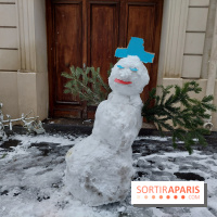 La Neige à Paris - 20260107 114349