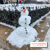La Neige à Paris