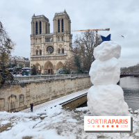 La Neige à Paris - Notre-Dame de Paris
