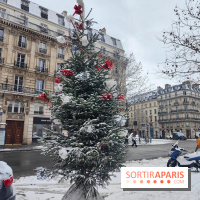 La Neige à Paris - sapin décoré Noël