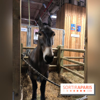 Salon de l'agriculture 2018