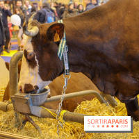 Salon de l'agriculture 2018