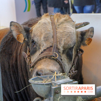 Salon de l'agriculture 2018