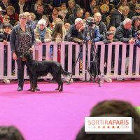 Salon de l'agriculture 2018