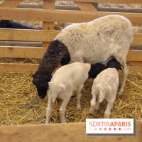 Salon de l'agriculture 2018