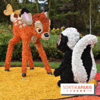 Base de données LaurentP