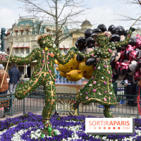 Base de données LaurentP