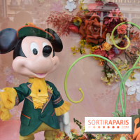 Base de données LaurentP