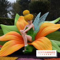 Base de données LaurentP