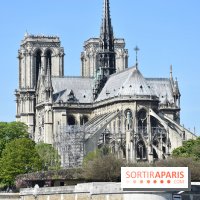 Base de données LaurentP