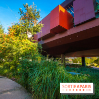 Base de données LaurentP