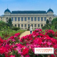 Base de données LaurentP