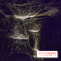 Base de données LaurentP