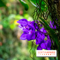 Base de données LaurentP