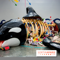 Base de données LaurentP