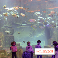 Les 60 ans de LEGO® à l'Aquarium de Paris