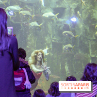 Les 60 ans de LEGO® à l'Aquarium de Paris