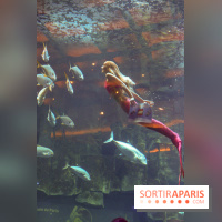 Les 60 ans de LEGO® à l'Aquarium de Paris