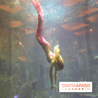 Les 60 ans de LEGO® à l'Aquarium de Paris