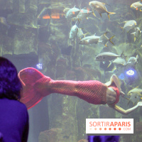 Les 60 ans de LEGO® à l'Aquarium de Paris