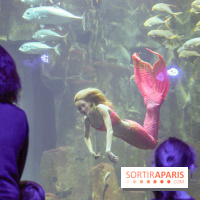 Les 60 ans de LEGO® à l'Aquarium de Paris