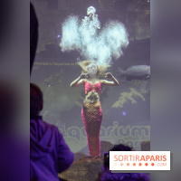 Les 60 ans de LEGO® à l'Aquarium de Paris