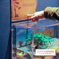 Les 60 ans de LEGO® à l'Aquarium de Paris