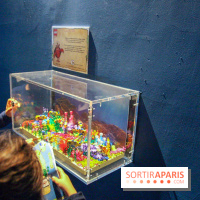 Les 60 ans de LEGO® à l'Aquarium de Paris