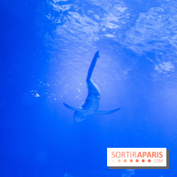 Les 60 ans de LEGO® à l'Aquarium de Paris