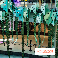 Exposition Monstera Dubia à Beaugrenelle