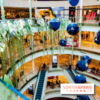 Exposition Monstera Dubia à Beaugrenelle