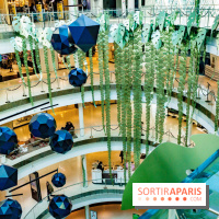 Exposition Monstera Dubia à Beaugrenelle