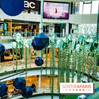 Exposition Monstera Dubia à Beaugrenelle