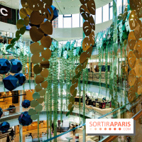 Exposition Monstera Dubia à Beaugrenelle