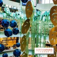 Exposition Monstera Dubia à Beaugrenelle