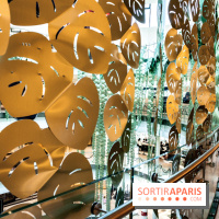 Exposition Monstera Dubia à Beaugrenelle