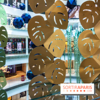 Exposition Monstera Dubia à Beaugrenelle