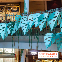 Exposition Monstera Dubia à Beaugrenelle