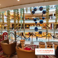 Exposition Monstera Dubia à Beaugrenelle