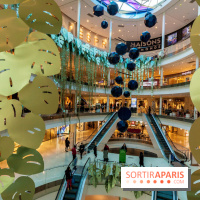 Exposition Monstera Dubia à Beaugrenelle