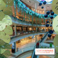 Exposition Monstera Dubia à Beaugrenelle