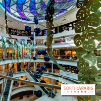 Exposition Monstera Dubia à Beaugrenelle